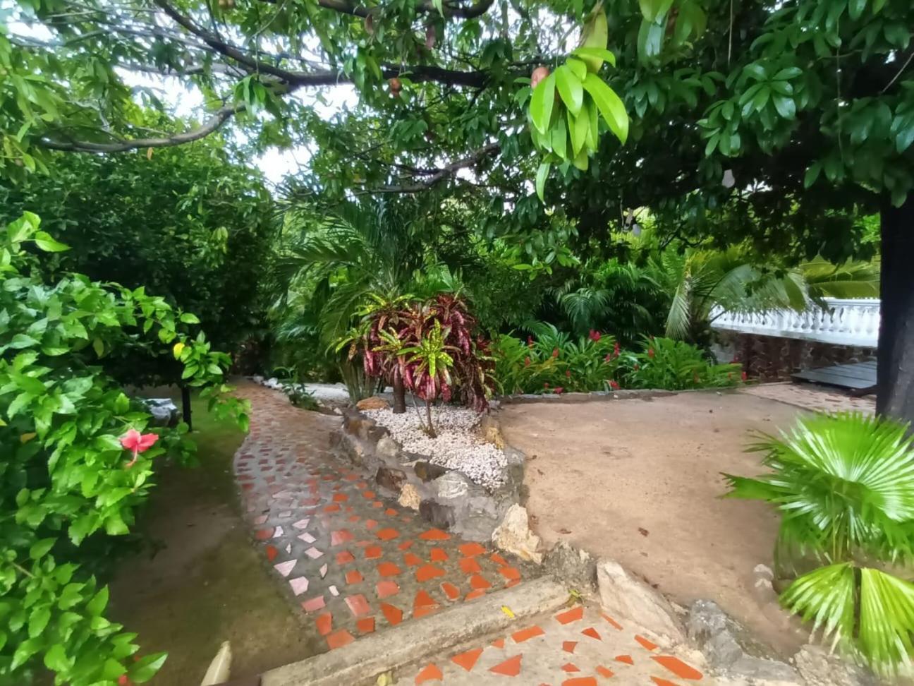 Finca De Nosotros Бонда Экстерьер фото